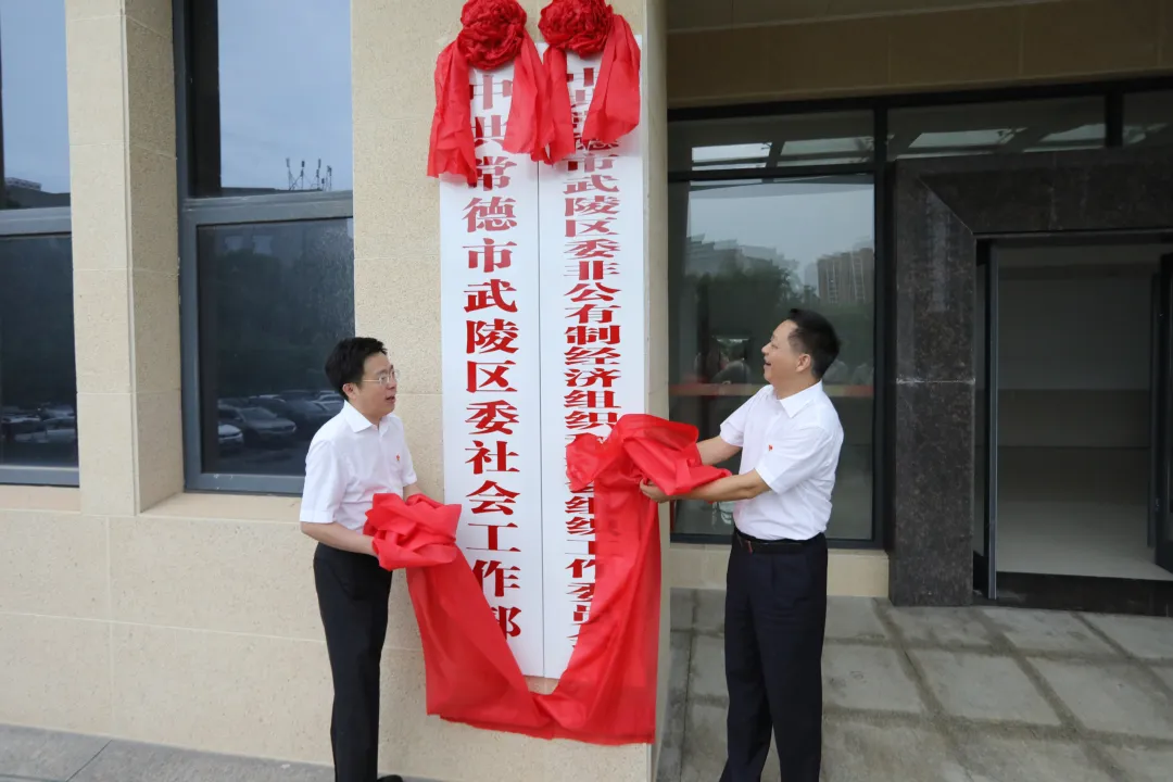 武陵区委社会工作部揭牌成立