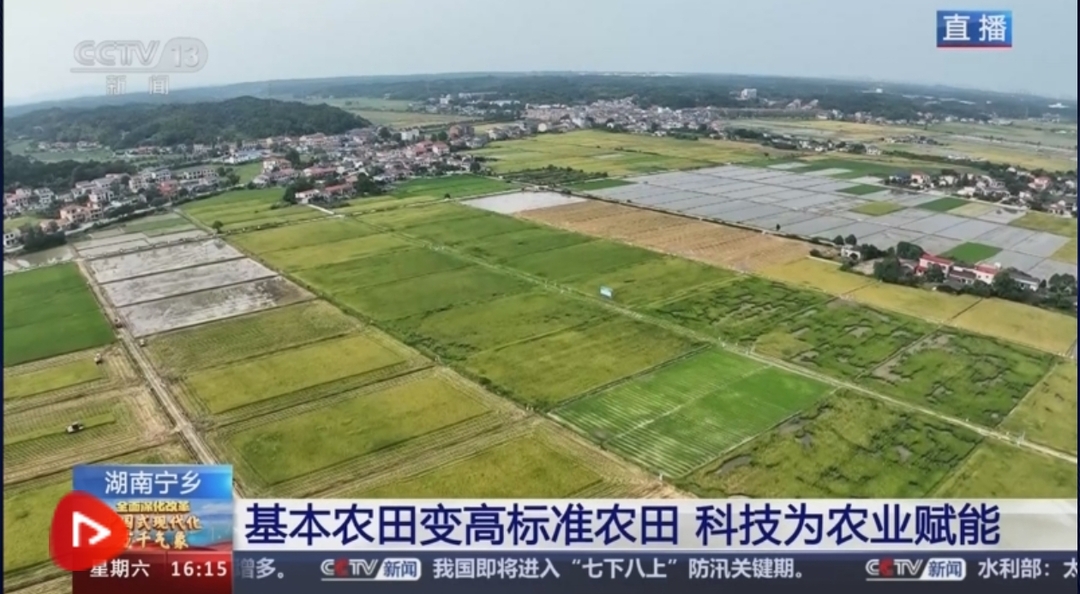 [全面深化改革 中国式现代化万千气象]湖南宁乡 “双抢”进行时 鱼米之“湘”铺展新画卷