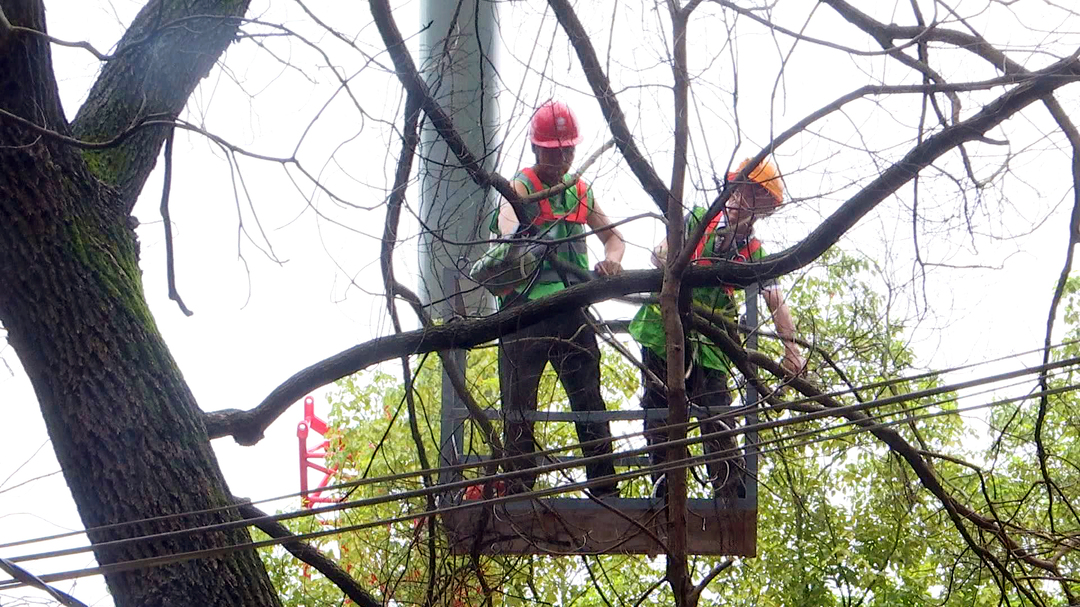 武陵区市政绿化事务中心：不负夏日好时光  园林绿化养护忙