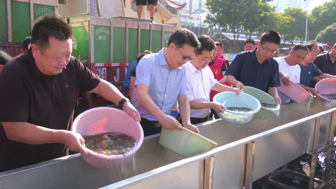武陵区：130万尾鱼苗投放沅江