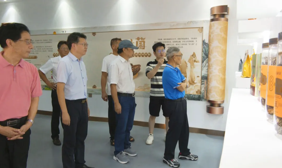 湖南省政府参事室课题组来武陵区调研