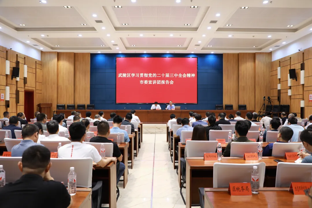 武陵区召开学习贯彻党的二十届三中全会精神市委宣讲团报告会