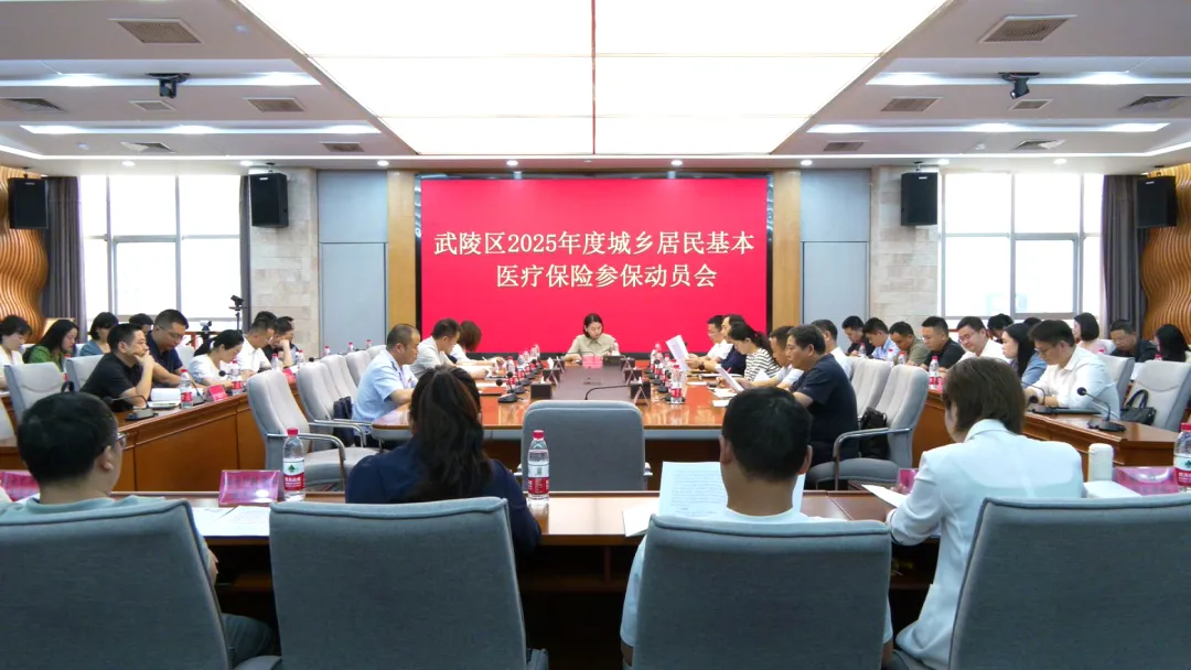 武陵区召开2025年度城乡居民基本医疗保险参保动员会