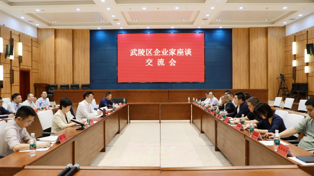 武陵区政府与企业家展开座谈 共谋发展共话未来