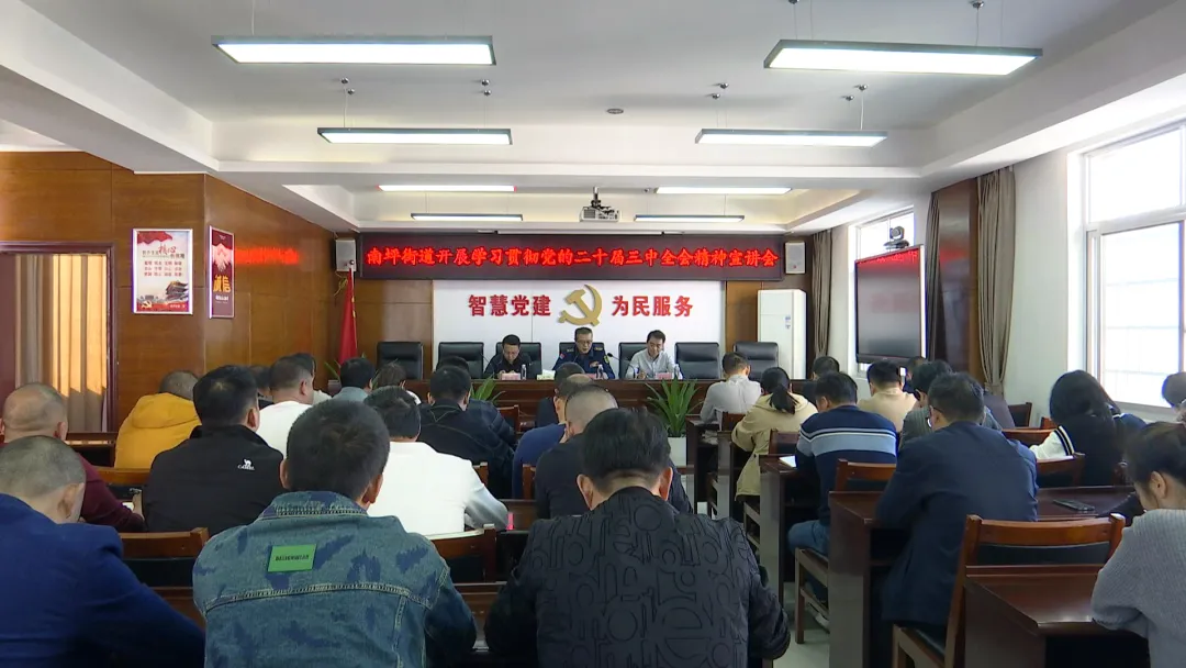 武陵区领导开展学习贯彻党的二十届三中全会精神宣讲活动