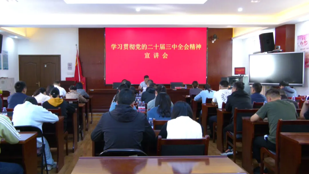 武陵区领导宣讲党的二十届三中全会精神