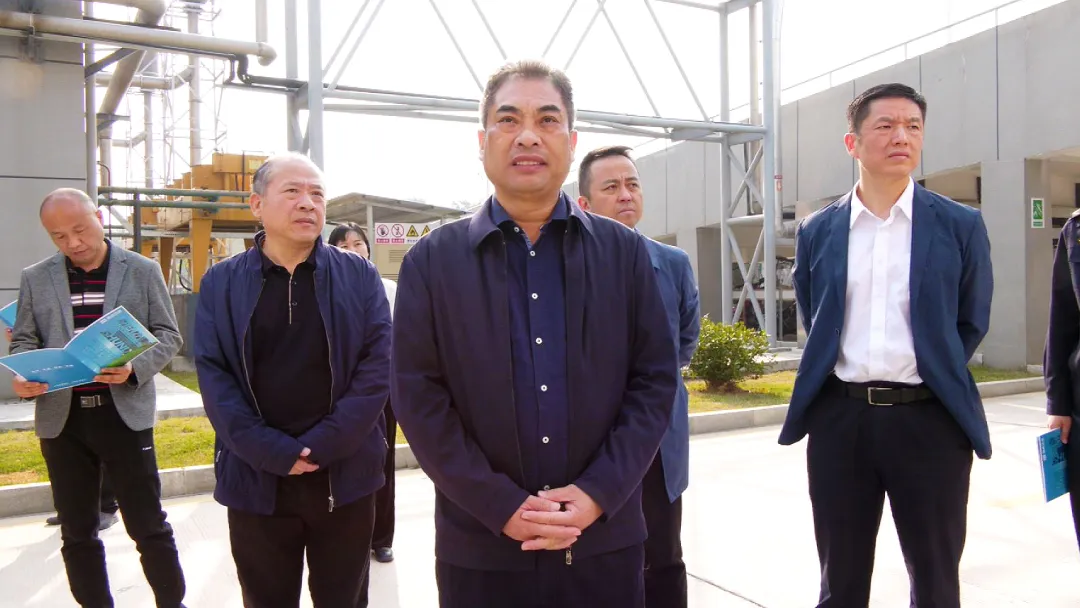 武陵区政协开展改善生态环境专项民主监督
