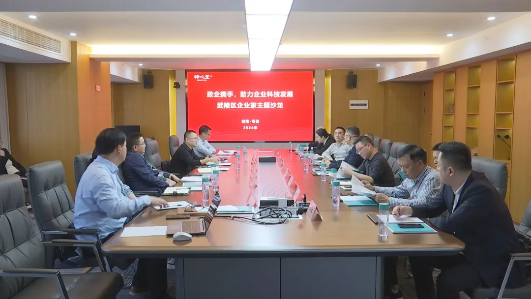 武陵区开展科技型企业主题沙龙活动