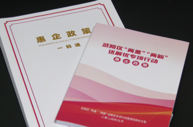 借东风 谋大势 抓落实——武陵区推进“两重”“两新”送解优专项行动
