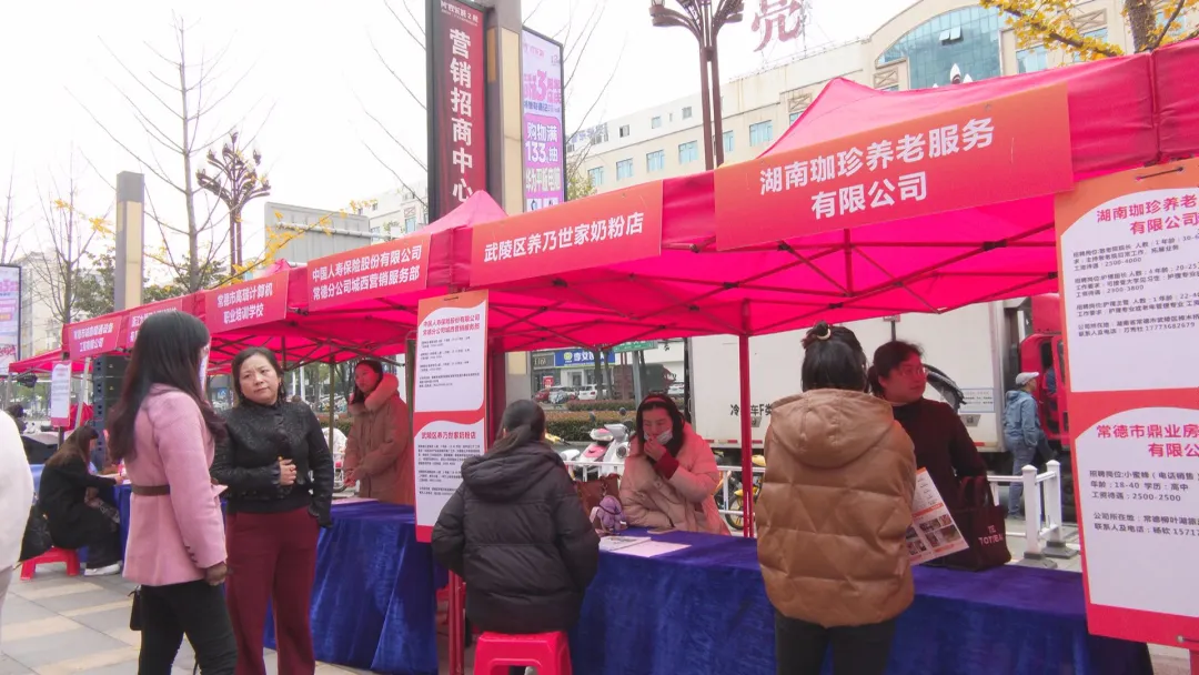 常德市青年就业服务攻坚行动专场招聘会举行