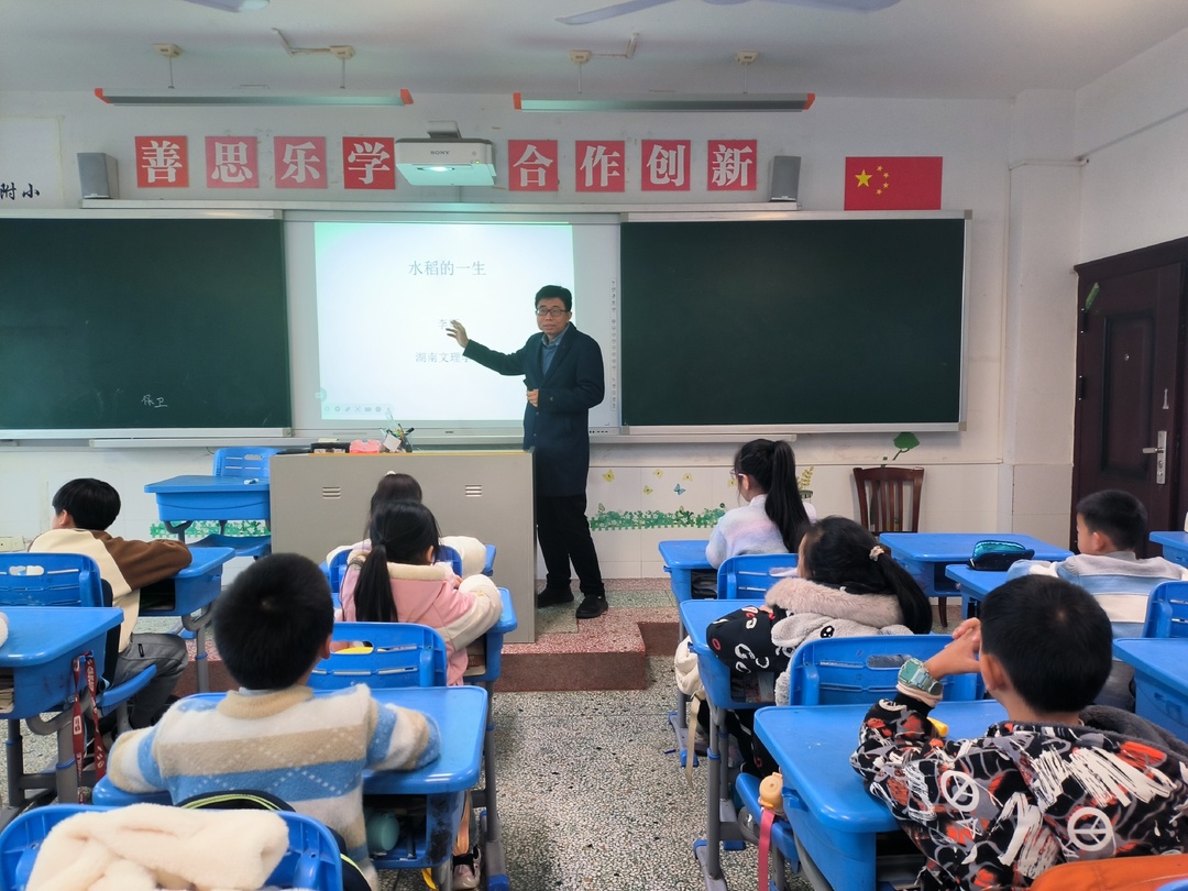 湖南幼专附小：家长变身“稻田导师”