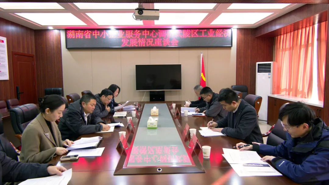 湖南省中小企业服务中心来武陵区调研工业经济发展情况