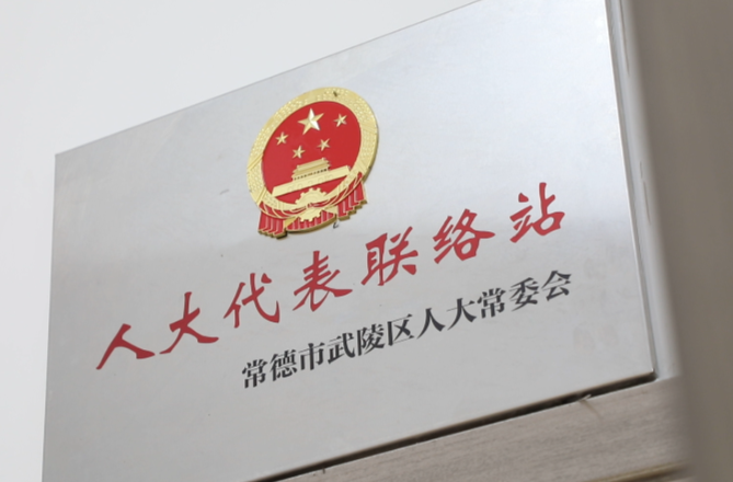 “站”在人民群众身边 ——武陵区推进人大代表联络站“建管用”提质增效
