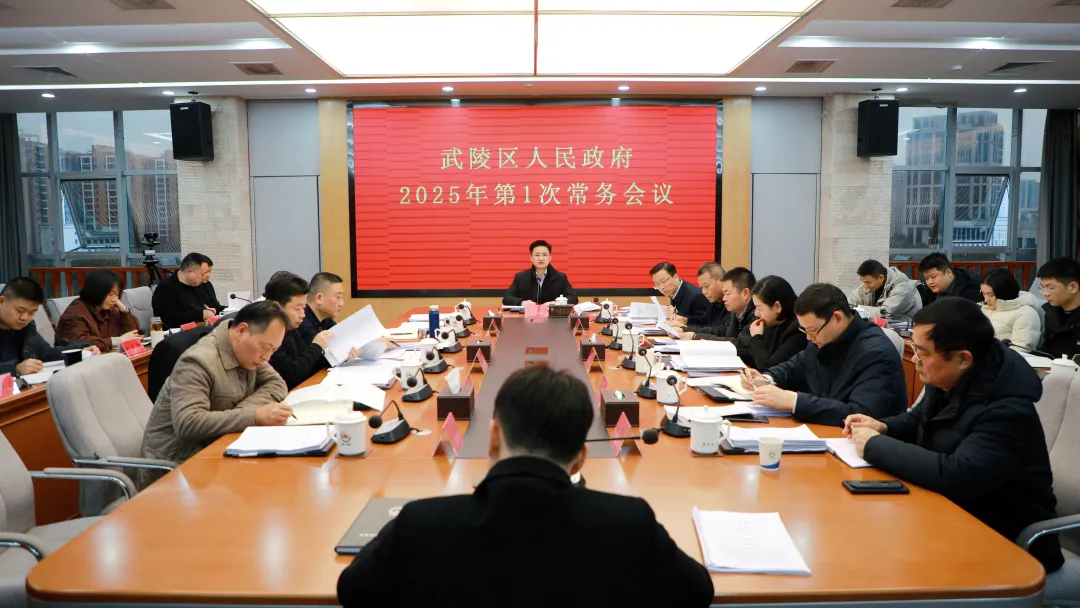 武陵区政府常务会传达学习上级有关精神