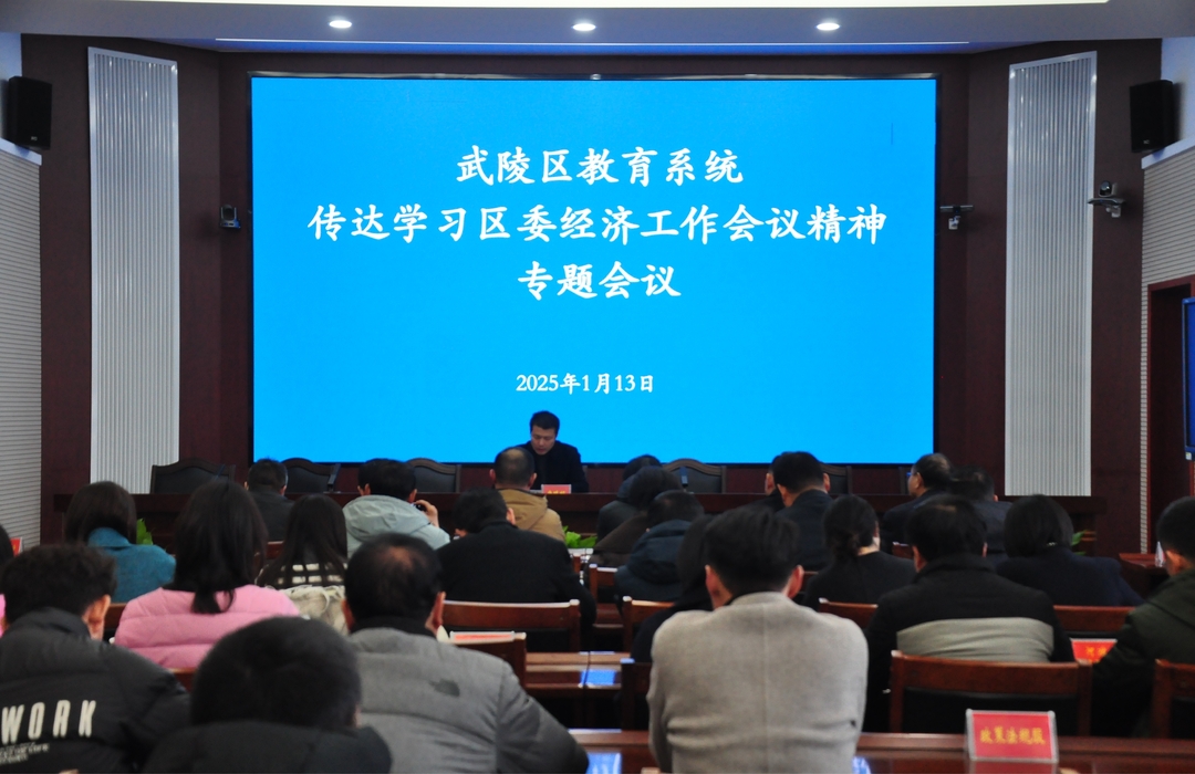 武陵区教育局传达学习区委经济工作会议精神