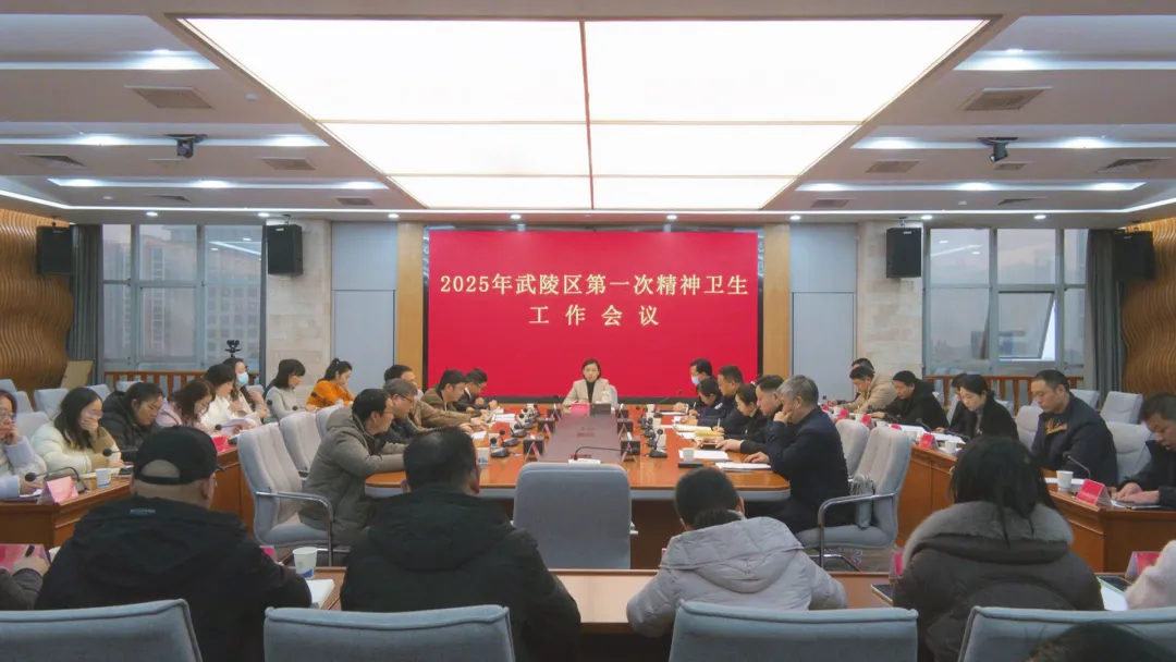 武陵区召开2025年第一次精神卫生工作会