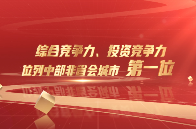 “新”潮澎湃起 逐浪向“高”行——看武陵区2024年经济社会高质量发展