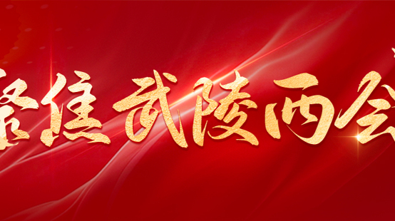 今天，武陵区正式进入两会时间