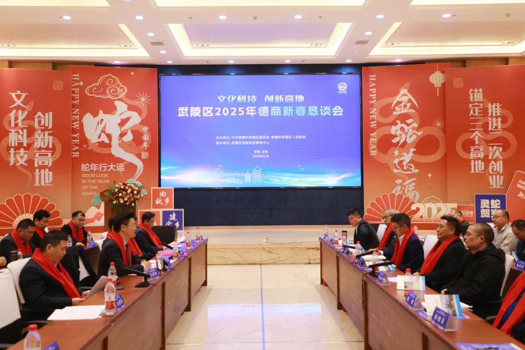武陵区召开2025年“文化科技·创新高地”德商新春恳谈会