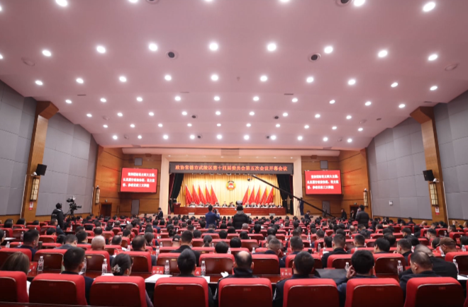 汇智聚力助发展 实干争先谱华章——武陵区政协2024年工作亮点回眸