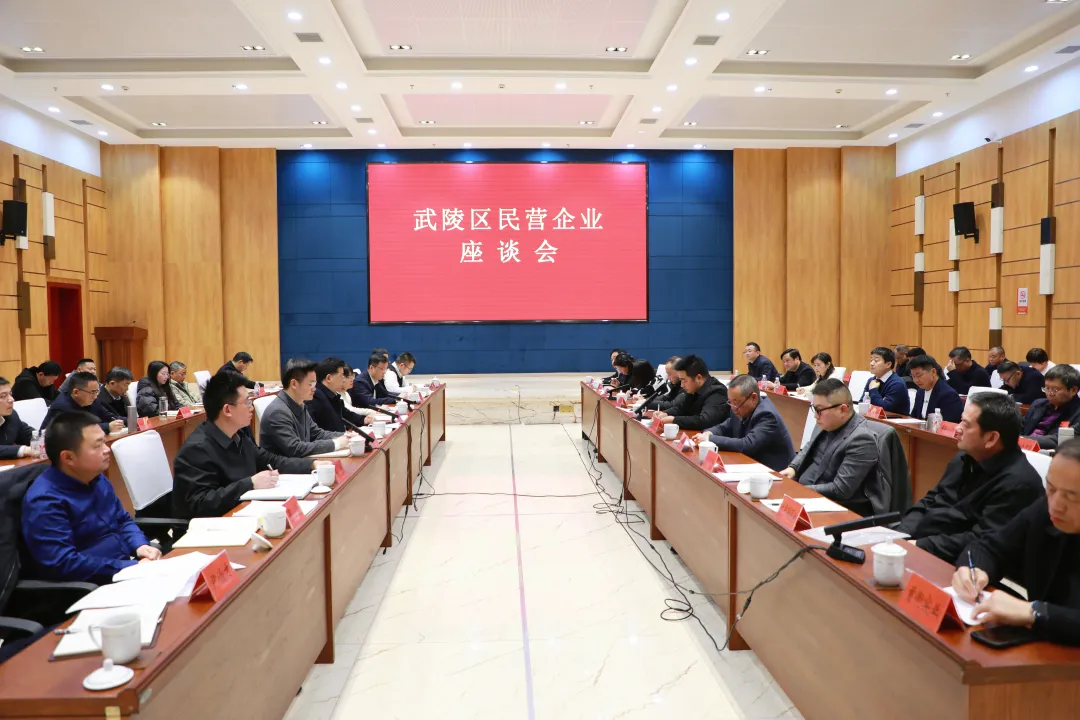 共商发展 聚智解难 武陵区召开民营企业座谈会