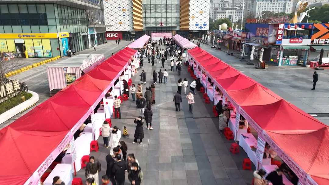 常德市“春风行动”女性就业专场招聘会 为50家企业注入“她力量”