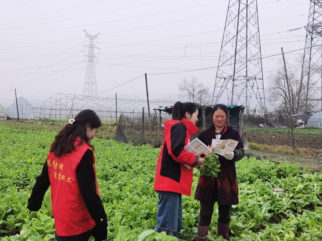 南坪街道开展禁种铲毒宣传活动