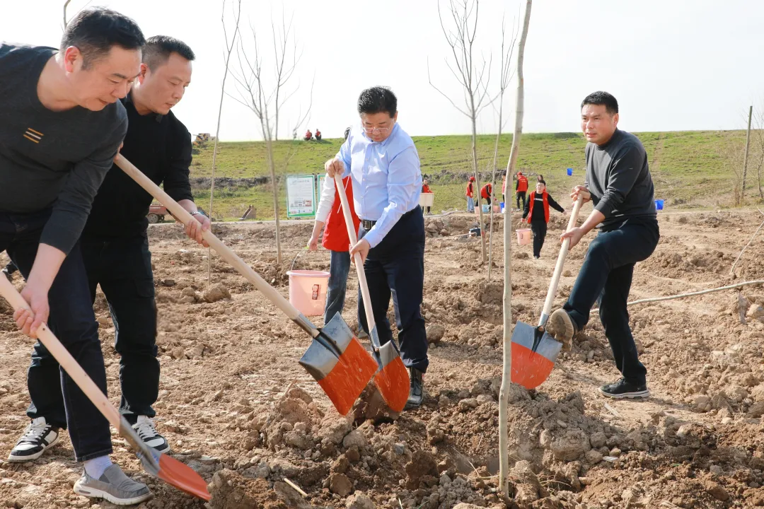 武陵区开展2025年义务植树活动