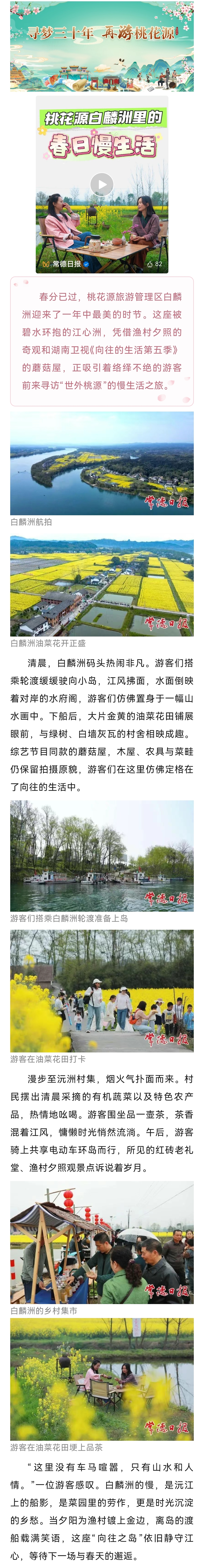 常德桃花源白麟洲里的春日慢生活