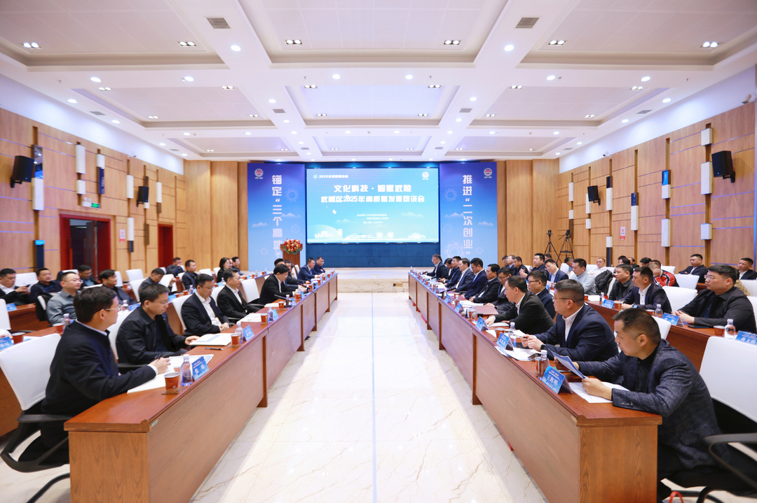 同叙乡情  共谋新篇 武陵区举行2025年“文化科技·智赋武陵”高质量发展恳谈会