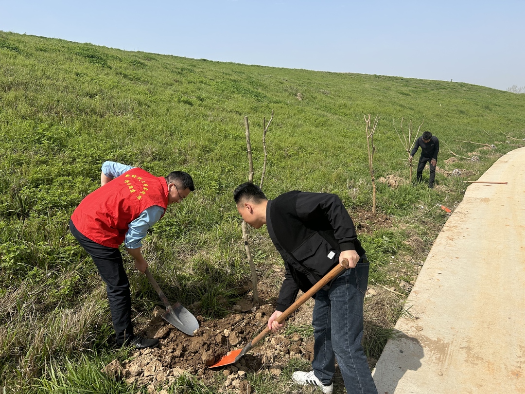 丹阳街道：清明植新绿 厚土寄春情