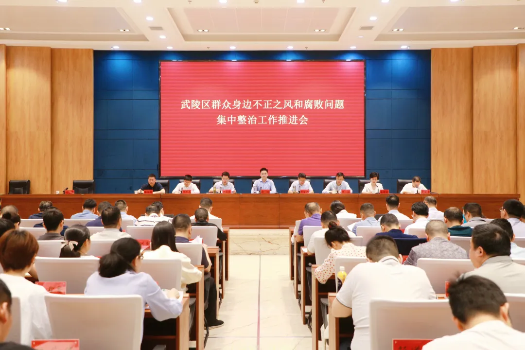 武陵区召开群众身边不正之风和腐败问题集中整治工作推进会