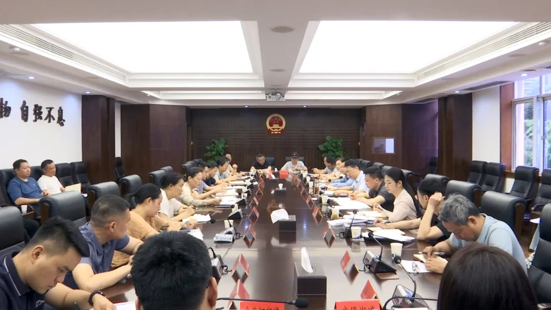武陵区召开招商引资攻坚行动专班项目推进会