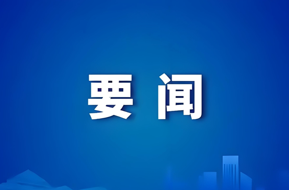 武陵区政府2025年5月份党组会暨区长碰头会召开