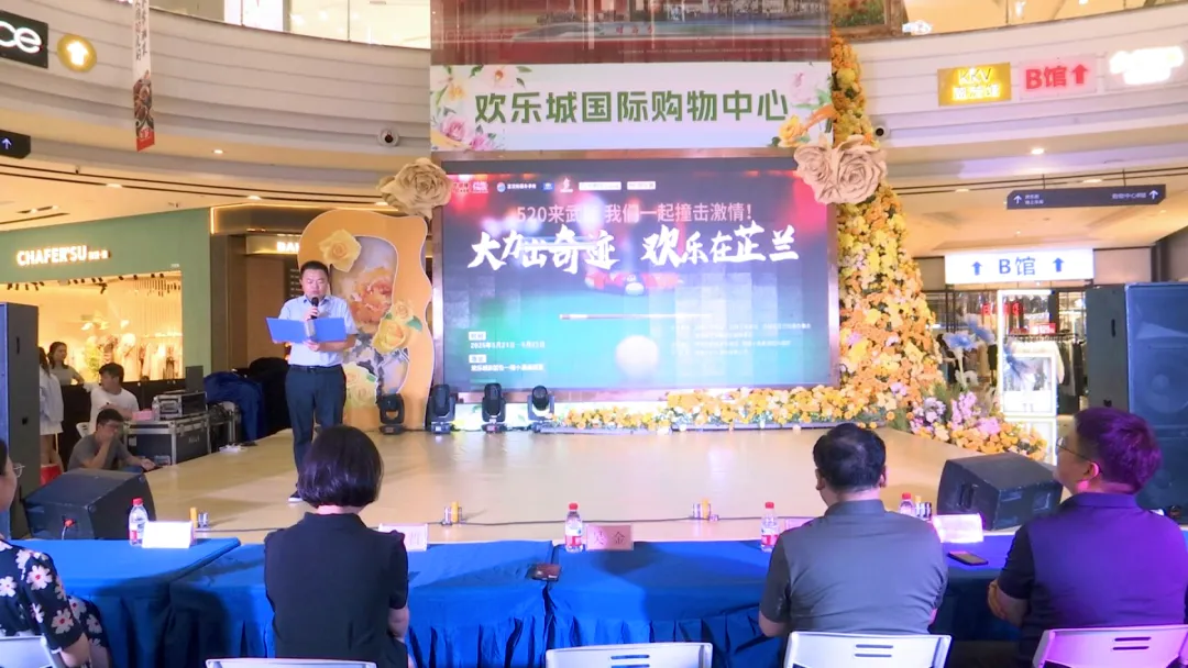 武陵区“大力出奇迹 欢乐在芷兰”中式台球赛开幕