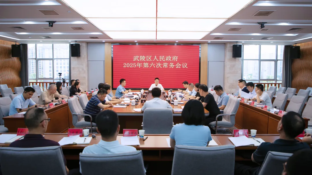 武陵区政府常务会传达学习上级有关精神