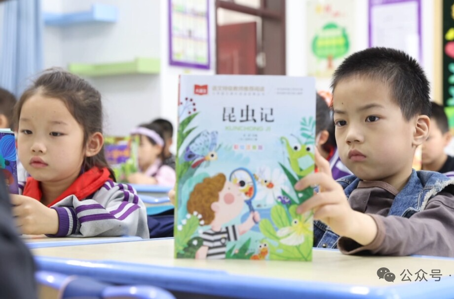 “立体化”阅读：探索青少年阅读推广的创新实践