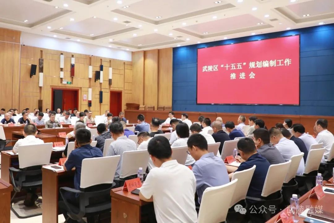 武陵区召开“十五五”规划编制工作推进会