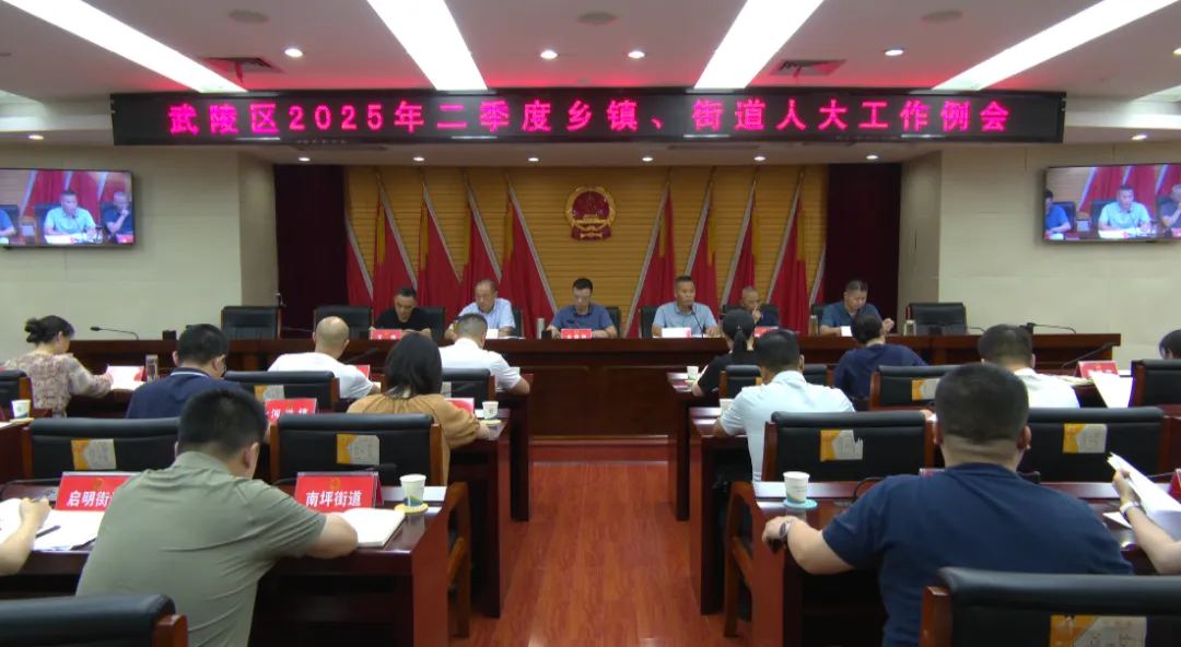 武陵区人大常委会召开第二季度乡镇、街道人大工作例会