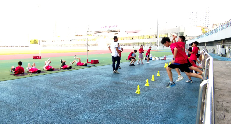武陵区：科学体能培训 全方位提升青少年体育素养