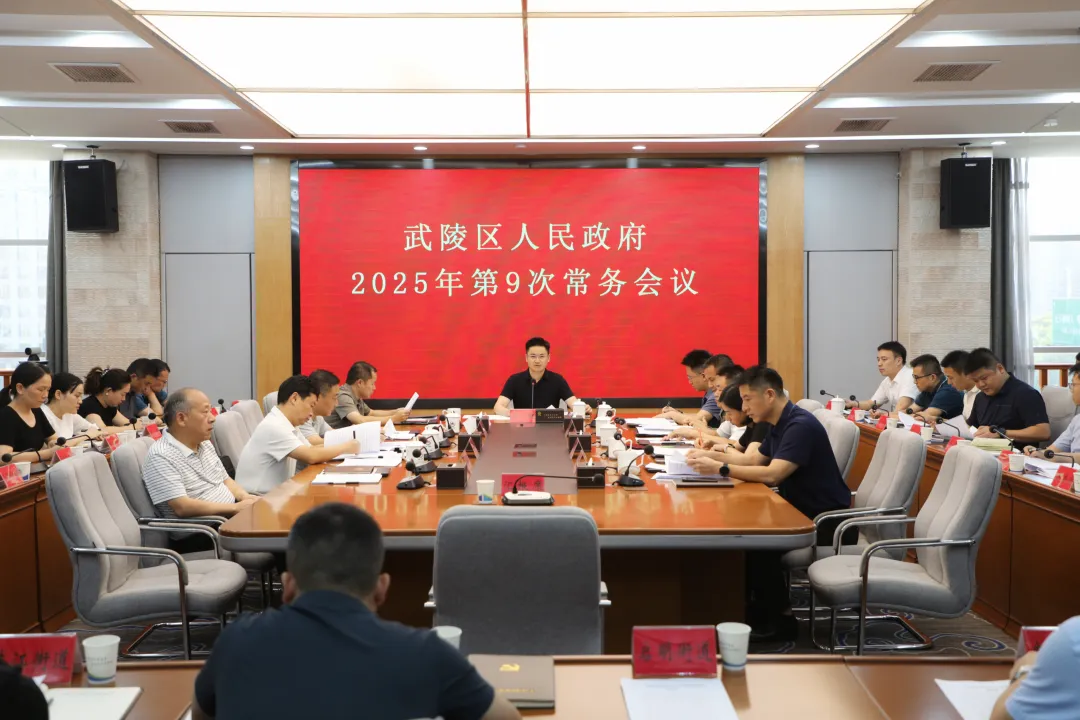 武陵区政府常务会传达学习上级有关精神