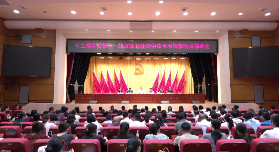 武陵区召开十三届区委第十一轮巡察暨教育领域专项巡察动员部署会