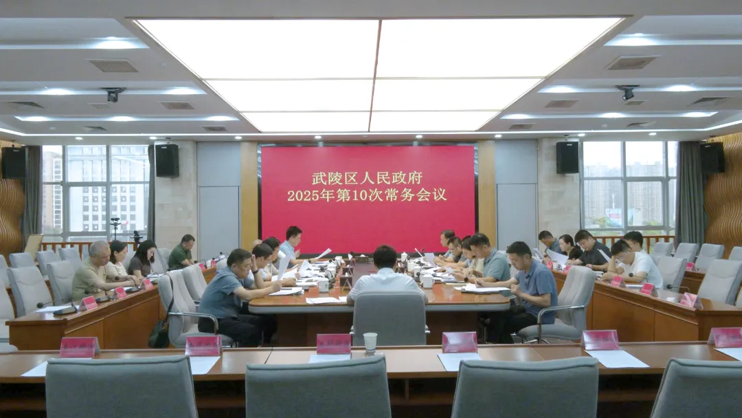 武陵区政府常务会传达学习上级有关精神