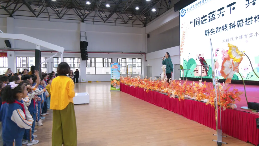 让学校变身“丛林课堂” 中建育英小学开展野生动物科普进校园活动