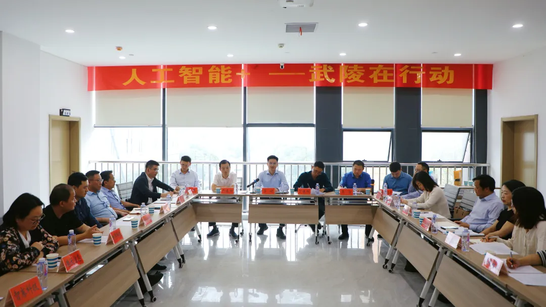 人工智能+ 武陵在行动 寻健调研数智产业高质量发展工作