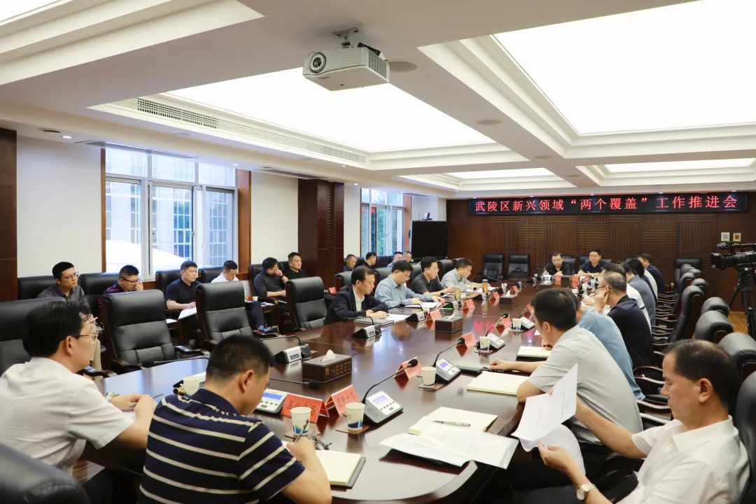 武陵区新兴领域“两个覆盖”工作推进会召开