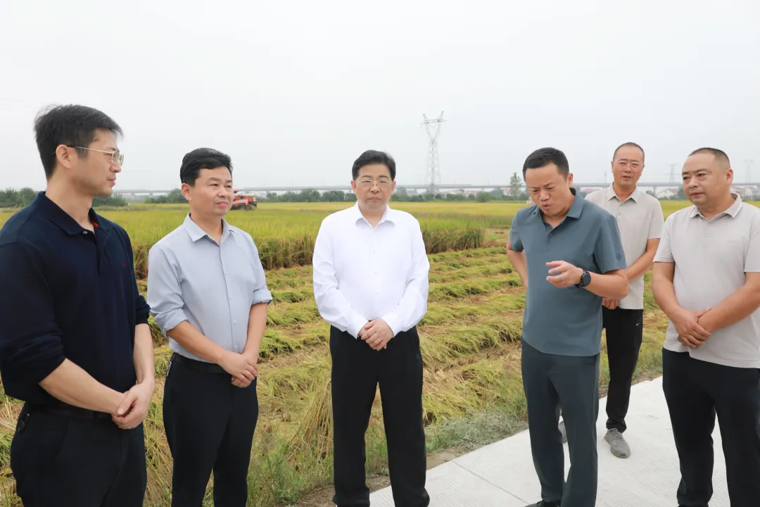 武陵区：包乡联村 责任上肩 夯实秸秆综合利用根基