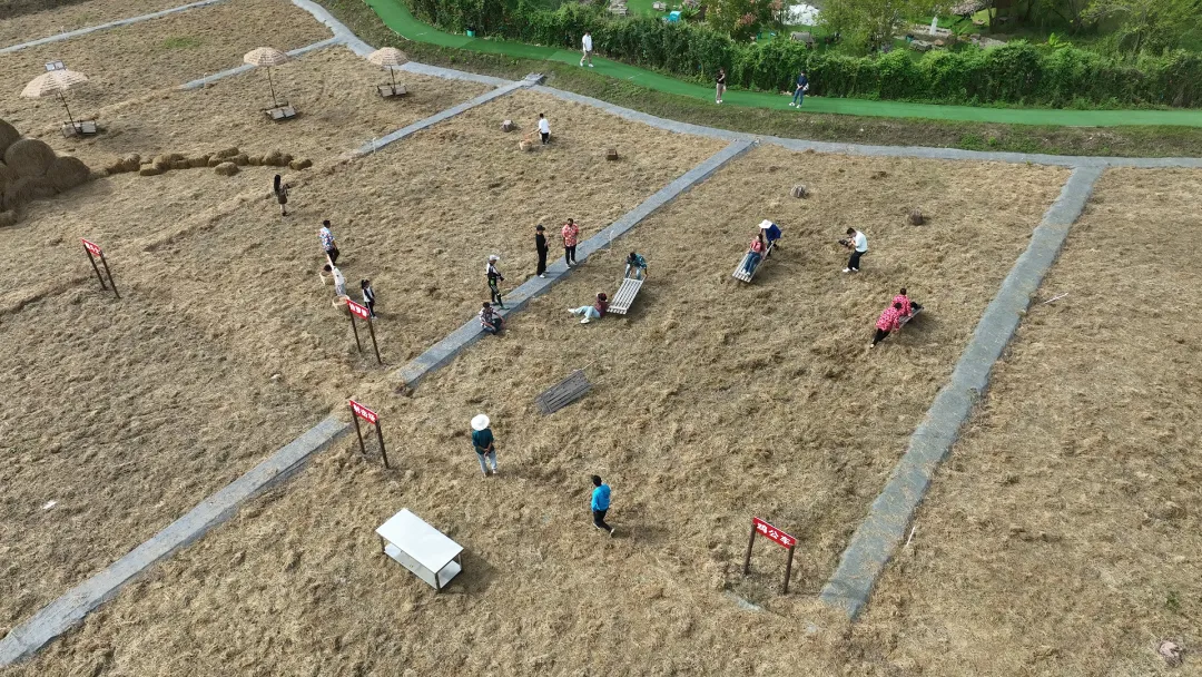 武陵区：小长假近郊游新场景  秋收文化受青睐