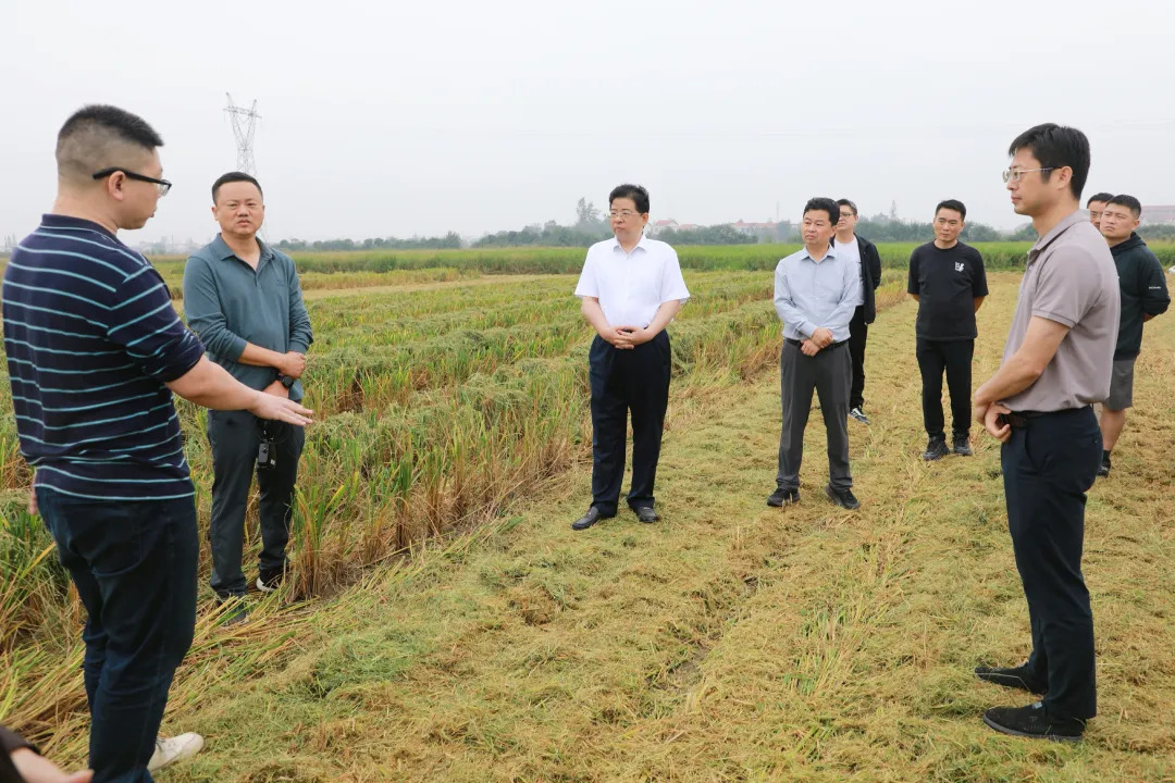 实地观摩促提升 精准施策抓落实 康少中主持召开秸秆综合利用现场会