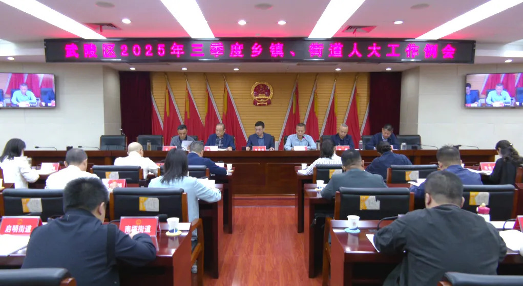 武陵区召开2025年第三季度乡镇、街道人大工作例会